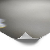 蝶 ポスター (角)