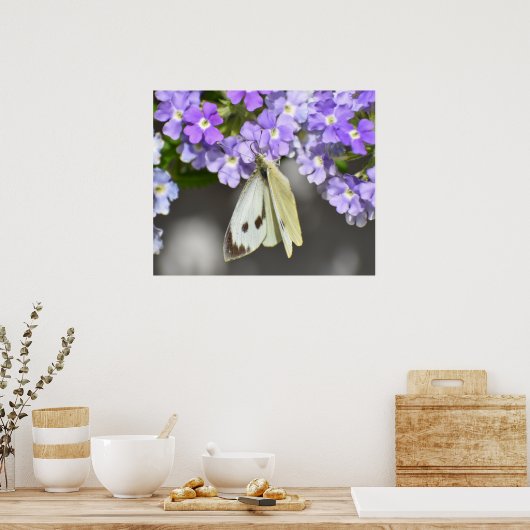 蝶 ポスター (キッチン)