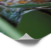 蝶 ポスター (角)