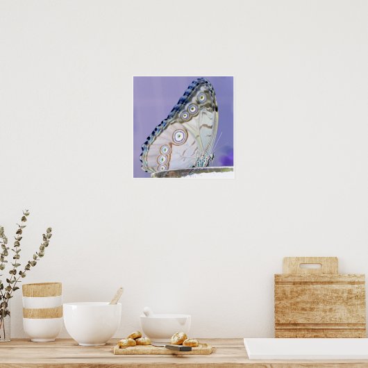 蝶 ポスター (キッチン)