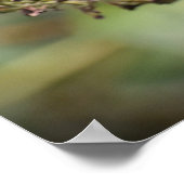 蝶, ポスター (角)