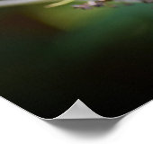 蝶, ポスター (角)