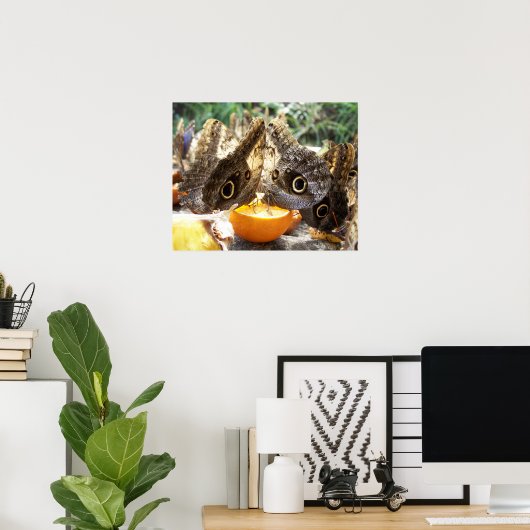 蝶 ポスター (ホームオフィス)