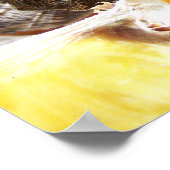 蝶 ポスター (角)