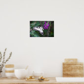 蝶, ポスター (キッチン)