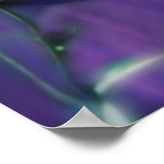 蝶 ポスター (角)