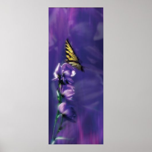 蝶 ポスター (正面)