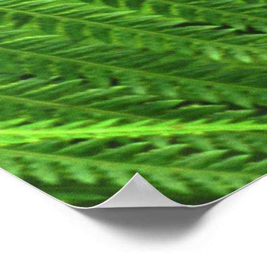 蝶 ポスター (角)