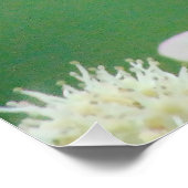 蝶 ポスター (コーナー)