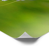 蝶 ポスター (角)