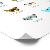 蝶 ポスター (角)