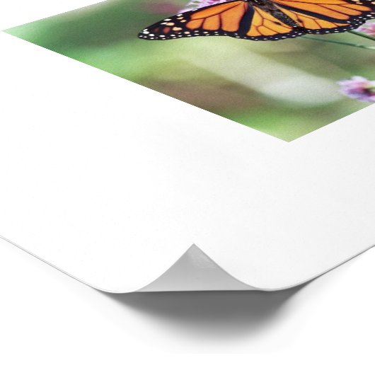 蝶 ポスター (角)