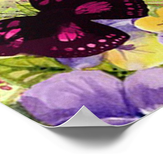 蝶 ポスター (角)