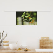 蝶 ポスター (キッチン)