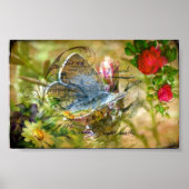 蝶 ポスター (正面)