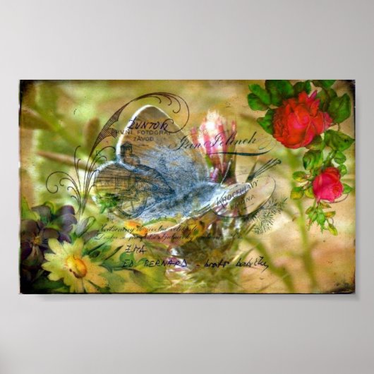 蝶 ポスター (正面)