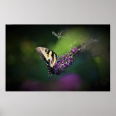 蝶, ポスター (正面)