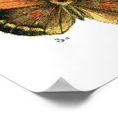 蝶 ポスター (角)