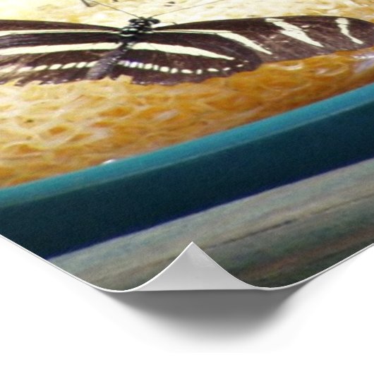 蝶 ポスター (角)