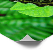 蝶 ポスター (角)