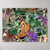 蝶 ポスター (正面)