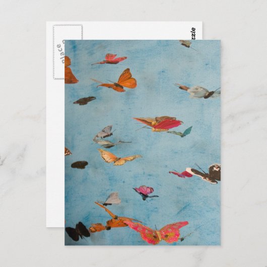 蝶 ポストカード (正面/裏面)