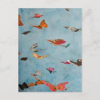 蝶 ポストカード