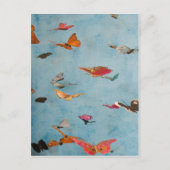 蝶 ポストカード (正面)