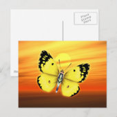 蝶 ポストカード (正面/裏面)
