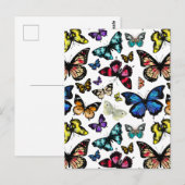 蝶 ポストカード (正面/裏面)