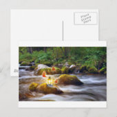 蝶 ポストカード (正面/裏面)