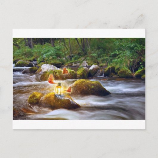 蝶 ポストカード (正面)