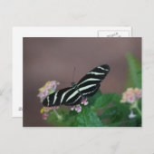 蝶 ポストカード (正面/裏面)