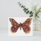 蝶 ポストカード (スタンド正面)