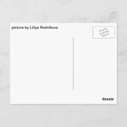 蝶 ポストカード (裏面)