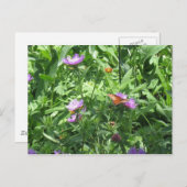 蝶 ポストカード (正面/裏面)