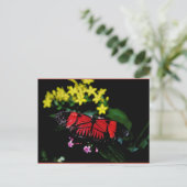 蝶 ポストカード (スタンド正面)