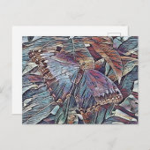 蝶 ポストカード (正面/裏面)