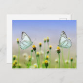 蝶 ポストカード (正面/裏面)
