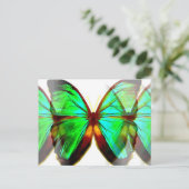 蝶 ポストカード (スタンド正面)