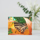 蝶 ポストカード (スタンド正面)