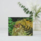 蝶 ポストカード (スタンド正面)