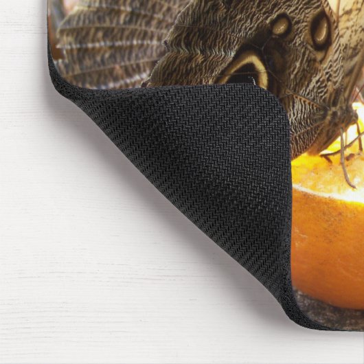 蝶 マウスパッド (コーナー)