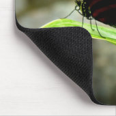 蝶 マウスパッド (コーナー)