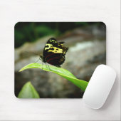 蝶 マウスパッド (マウス)