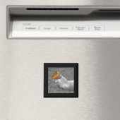 蝶 マグネット (インサイチュ (食洗機))