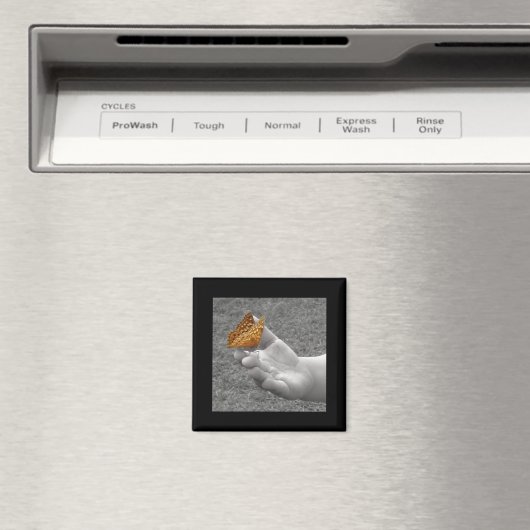 蝶 マグネット (インサイチュ (食洗機))