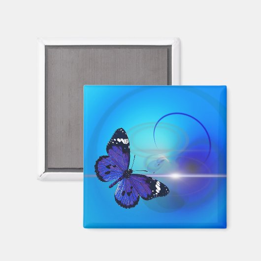 蝶 マグネット (正面/裏面)