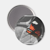 蝶 マグネット (正面/裏面)