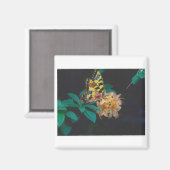 蝶 マグネット (正面/裏面)